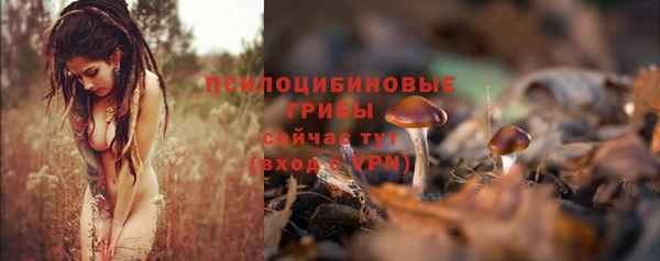 соль курить ск Армянск