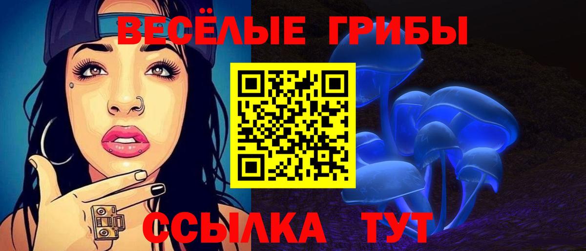 Галлюциногенные грибы Magic Shrooms Петровск