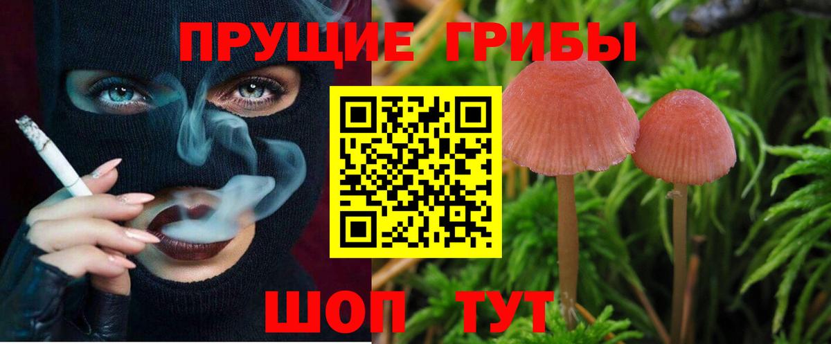 Петровск  Галлюциногенные грибы мухоморы  Вход с VPN 